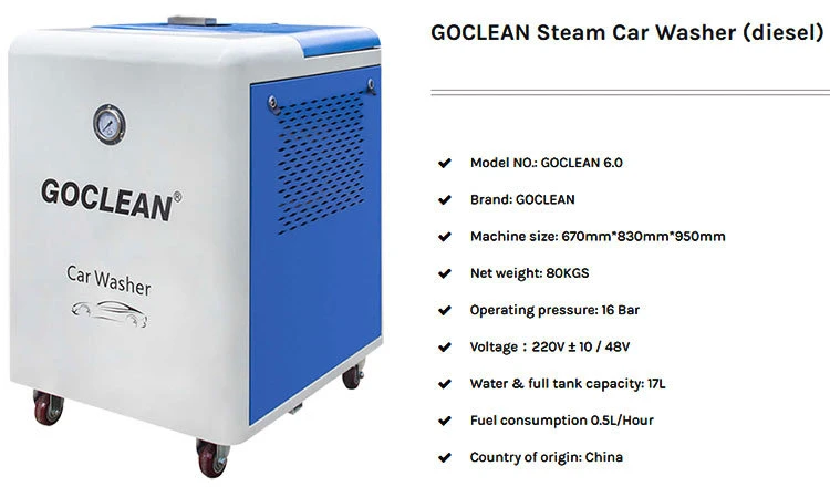 Goclean 6.0 Dry and Wet Steam Washer Car