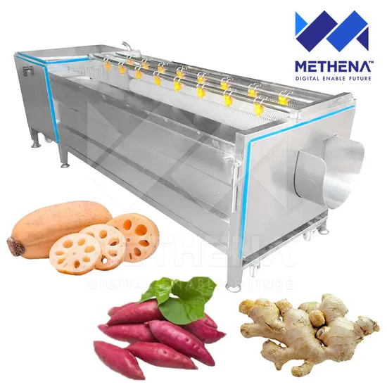 Vegetable Fruit Wash Multi-Functional Bitter Leaf Washer Dragon Fruit Wash Machine and Dry Process Machine